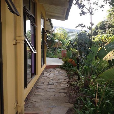 Jungle Monkey Backpackers Pansiyon Port Saint Johnʼs Dış mekan fotoğraf