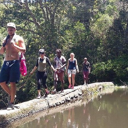 Jungle Monkey Backpackers Pansiyon Port Saint Johnʼs Dış mekan fotoğraf