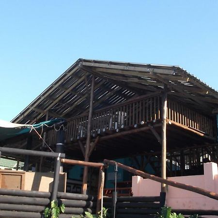 Jungle Monkey Backpackers Pansiyon Port Saint Johnʼs Dış mekan fotoğraf