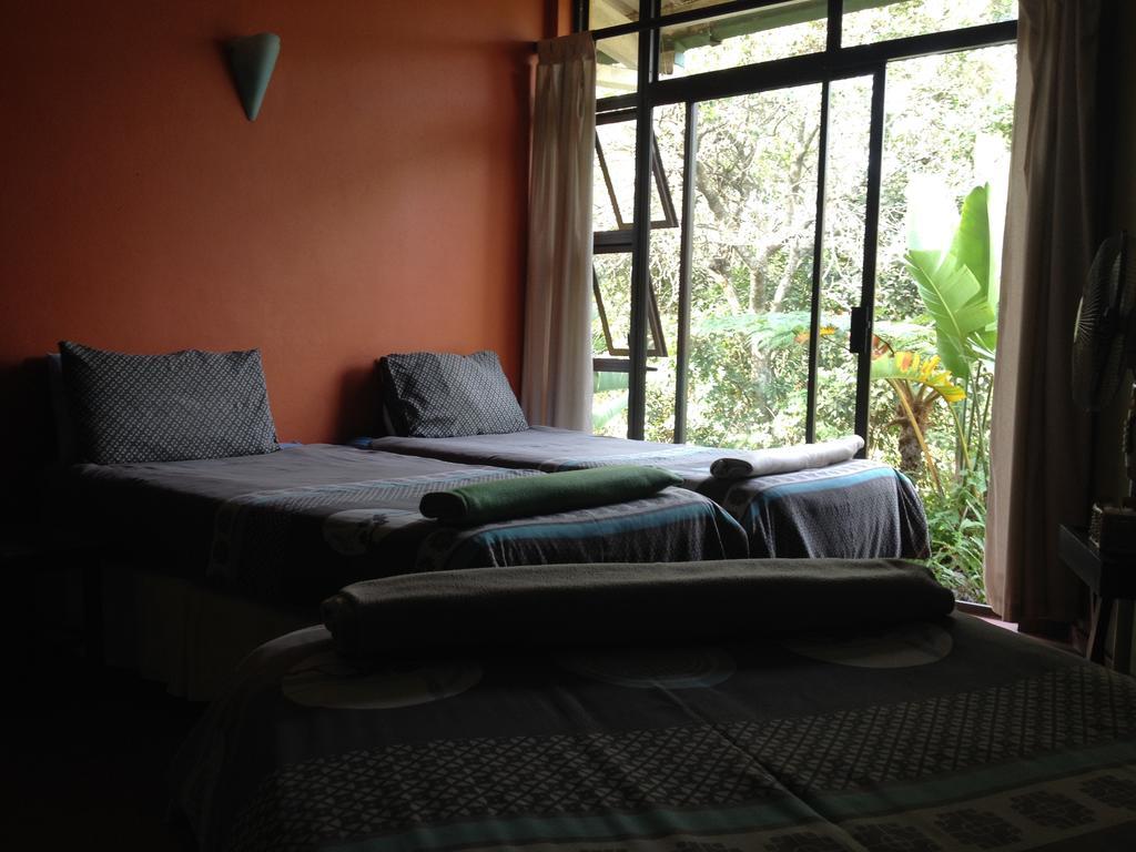Jungle Monkey Backpackers Pansiyon Port Saint Johnʼs Oda fotoğraf
