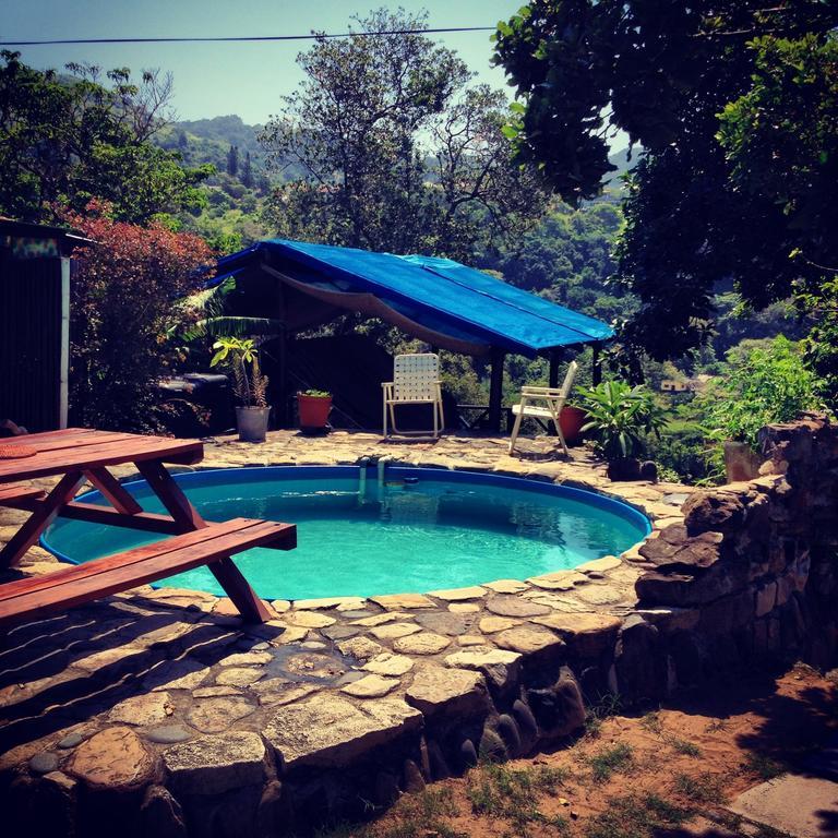 Jungle Monkey Backpackers Pansiyon Port Saint Johnʼs Oda fotoğraf