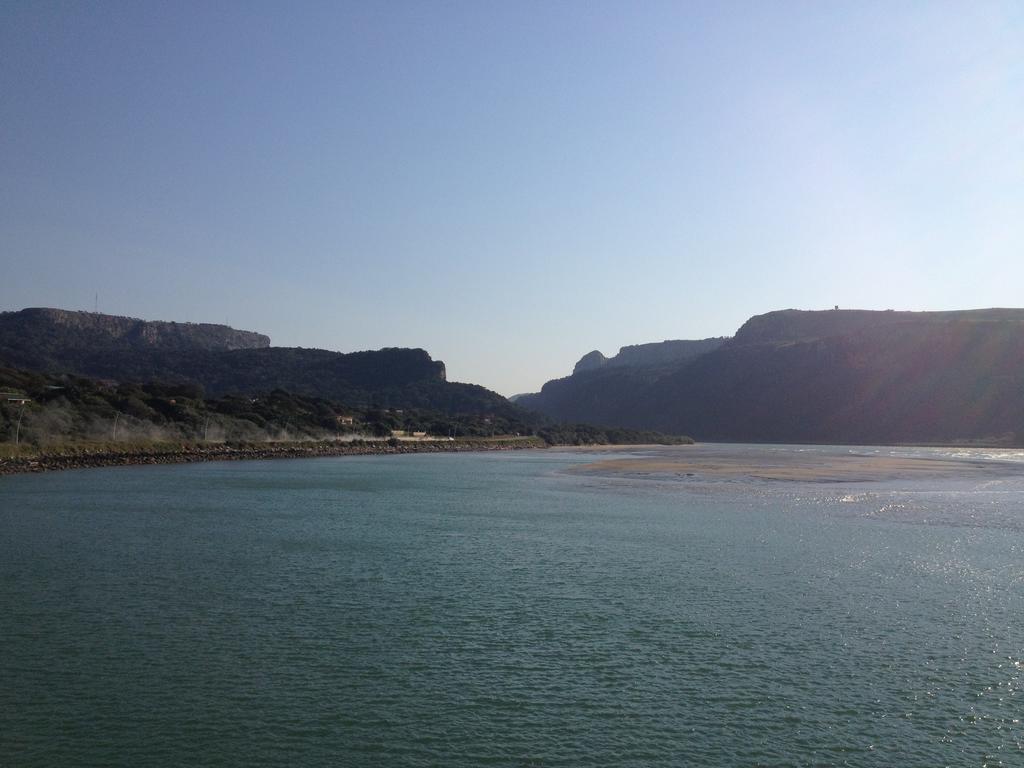 Jungle Monkey Backpackers Pansiyon Port Saint Johnʼs Dış mekan fotoğraf
