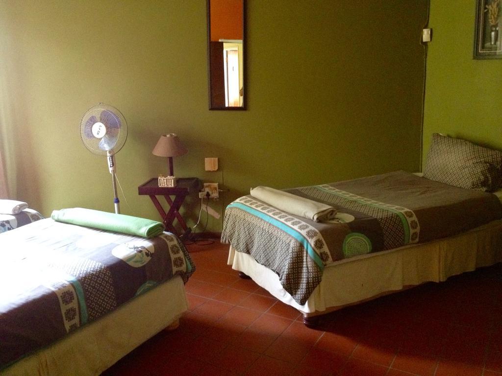 Jungle Monkey Backpackers Pansiyon Port Saint Johnʼs Oda fotoğraf