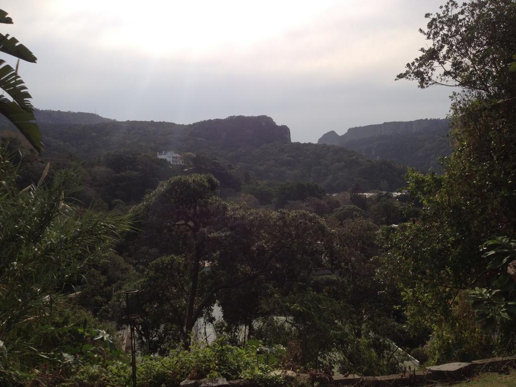 Jungle Monkey Backpackers Pansiyon Port Saint Johnʼs Oda fotoğraf
