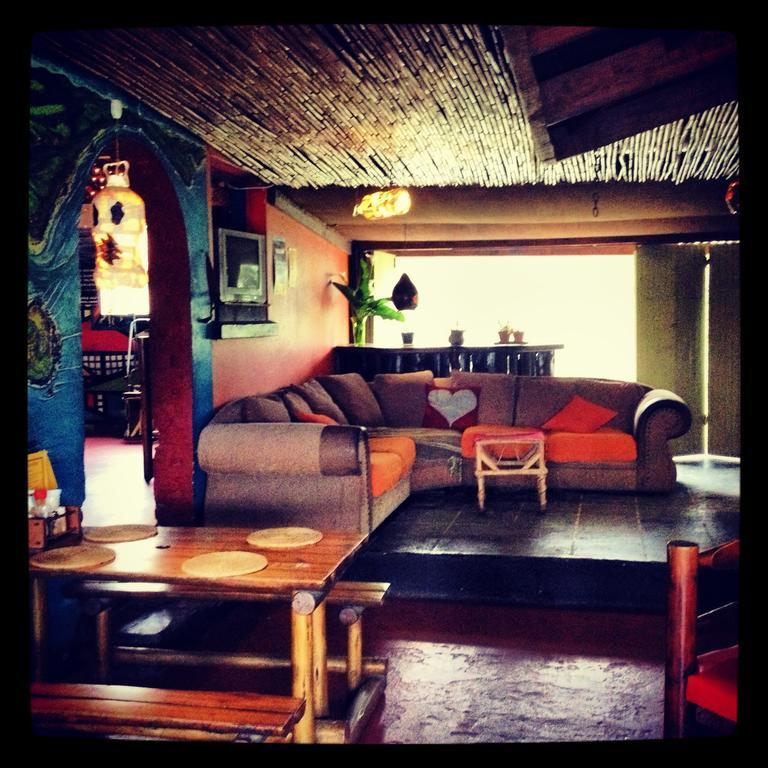 Jungle Monkey Backpackers Pansiyon Port Saint Johnʼs Dış mekan fotoğraf