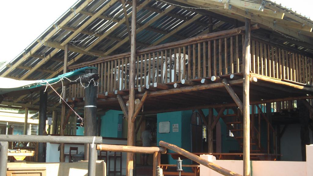 Jungle Monkey Backpackers Pansiyon Port Saint Johnʼs Dış mekan fotoğraf