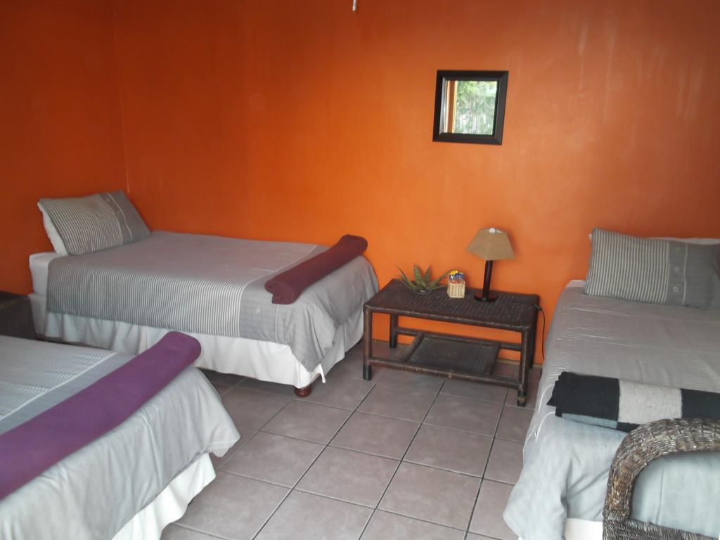 Jungle Monkey Backpackers Pansiyon Port Saint Johnʼs Dış mekan fotoğraf